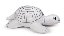 Turtle Color It Gift Set